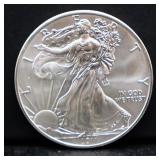 2011 silver eagle coin