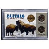 Slabbed Buffalo Nickel coin set