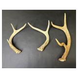 Three Deer Antlers