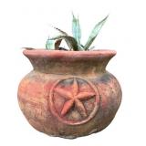 Terracotta Planter w Texas Star & Agave/Aloe Plant