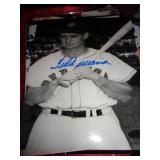 8"X10" NO COA - TED WILLIAMS