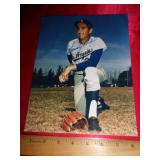 8X10 "NO CERT" - SANDY KOUFAX