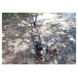 Briggs & Stratton Lawn Edger