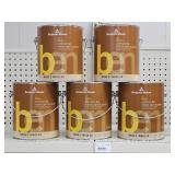 5 gal Benjamin Moore Interior Paint & Primer