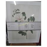 New Wall art - 2 pack floral design