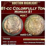 ***Major Highlight*** 1881-cc Morgan Dollar Colorf