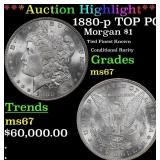 *Highlight* 1880-p Morgan Dollar TOP POP! $1 ms67