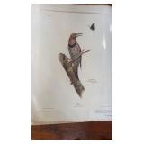 Ray Harm -signed -20x16 ï¿½ Flickerï¿½