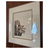 Original bearded Iris picture, signed and