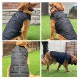 Lovelonglong Dog Winter Jacket Waterproof blue