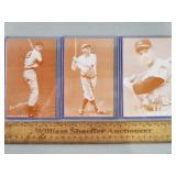 Baseball Exhibit Cards Ruth, Mantle, Williams