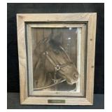 Framed Secretariat Picture 12 x 9