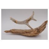 Carved Antler Sculpture