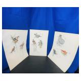 Assorted 1800ï¿½s Birds Chromolithograph Lot