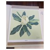 1976 Don Ensor Signed Print - MAGNOLIA