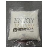 (2) "Enjoy Today" Pillows