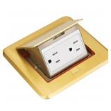 NEWHOUSE ELECTRIC Pop-Up Floor Outlet, Brass