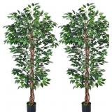 HAIHONG Artificial Ficus Tree 5FT-2Packs