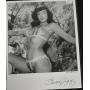 Bunny Yeager Bettie Page. 50's PinUp & Glamour