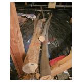 Dry Tree branches for Art/Firewood (basement)