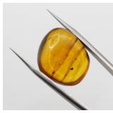 9.95 ct 66 Ma Cretaceous Polished Amber w Insect