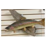 Mounted Taxidermy Rainbow Trout on Driftwood