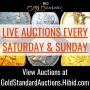 Auction Info