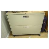 METAL STORAGE CABINET