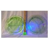 2 uranium parrot grill divided plates