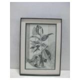 21"x 30" Framed Plant Drawing Observed Stains