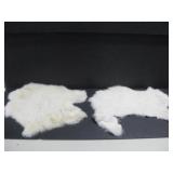 Two Rabbit Pelts Widest 16" See Info