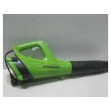 Greenworks Electric Blower Powers On