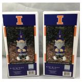 University of Illinois collegiate gnomes