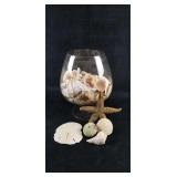 Nautical Seashell Glass Bowl