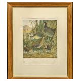 Vintage Framed Virginia Rail 1917 Du Pont Art Prin