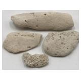 4 Pieces Fossil Coral