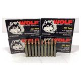 Ammunition: (80) rounds of WOLF .223 REM