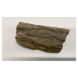 Possible petrified wood