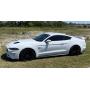 2019 FORD MUSTANG GT PREMIUM COUPE