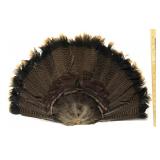 Turkey Feather Decor