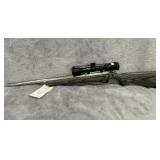 Ruger 10/22 22LR