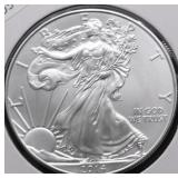 2014 SILVER EAGLE GEM