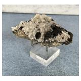 Bornite on Quartz Steward Mine Specimen