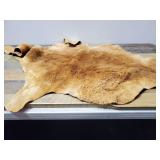 Soft Kangaroo Pelt